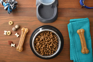 Healthy Canine Nutrition with Balanced Dog Food, an Animal Photo by Davizro's Market