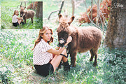 Film Photoshop Actions-90+ Actions, an Action Add-On by ElyanaIvette (Thumbnail 5 of 7)