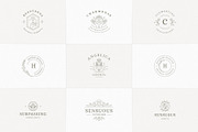 36 Botanical Logo Templates | Canva, a Branding & Logo Template by Vasya Kobelev (Thumbnail 7 of 10)