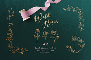 Wild Roses - Hand drawn Line Art