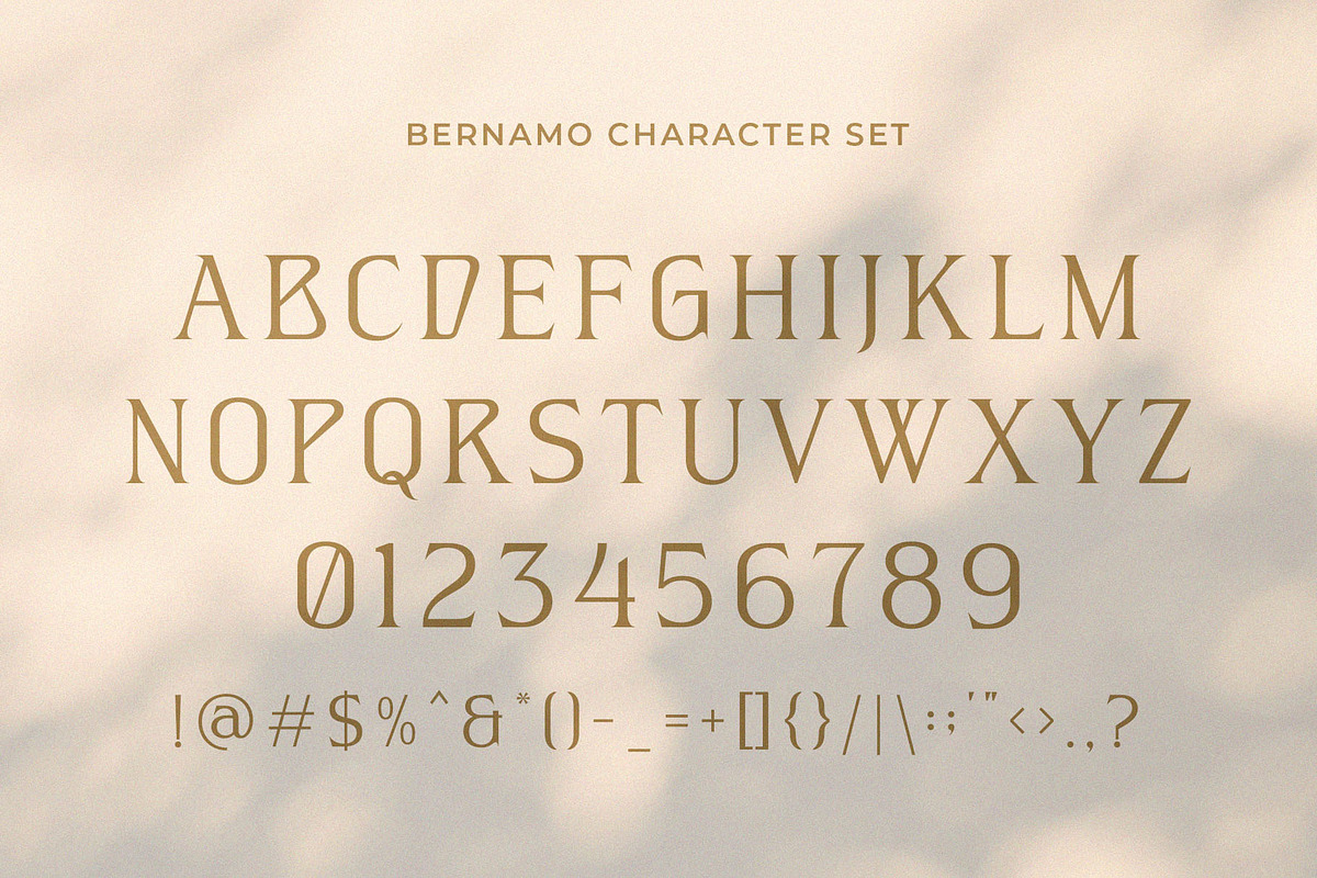 Bernamo - Classic Modern Serif, a Serif Font by Typeformers (Photo 4 of 5)
