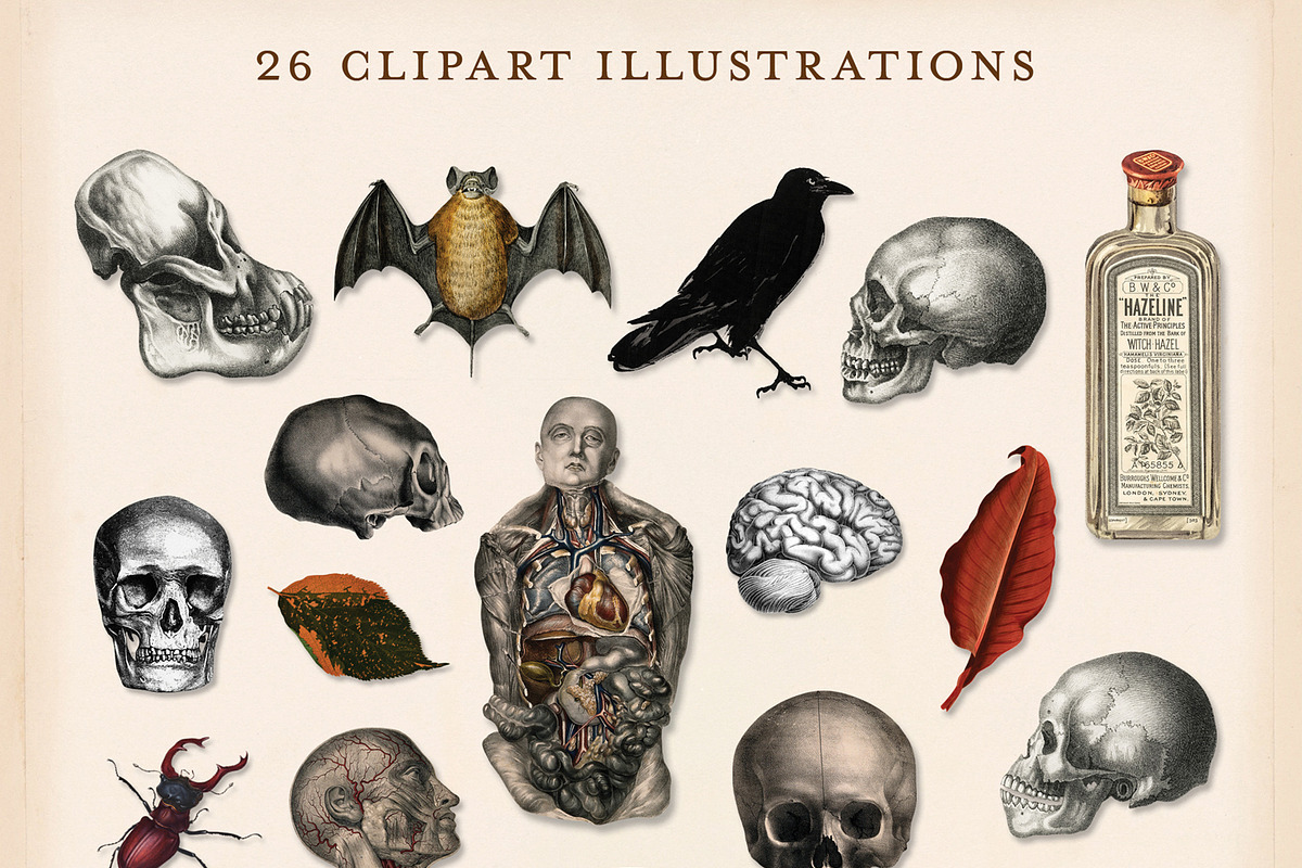 175 Vintage Halloween Ephemera, an Object Graphic by The Object Atlas (Photo 7 of 13)