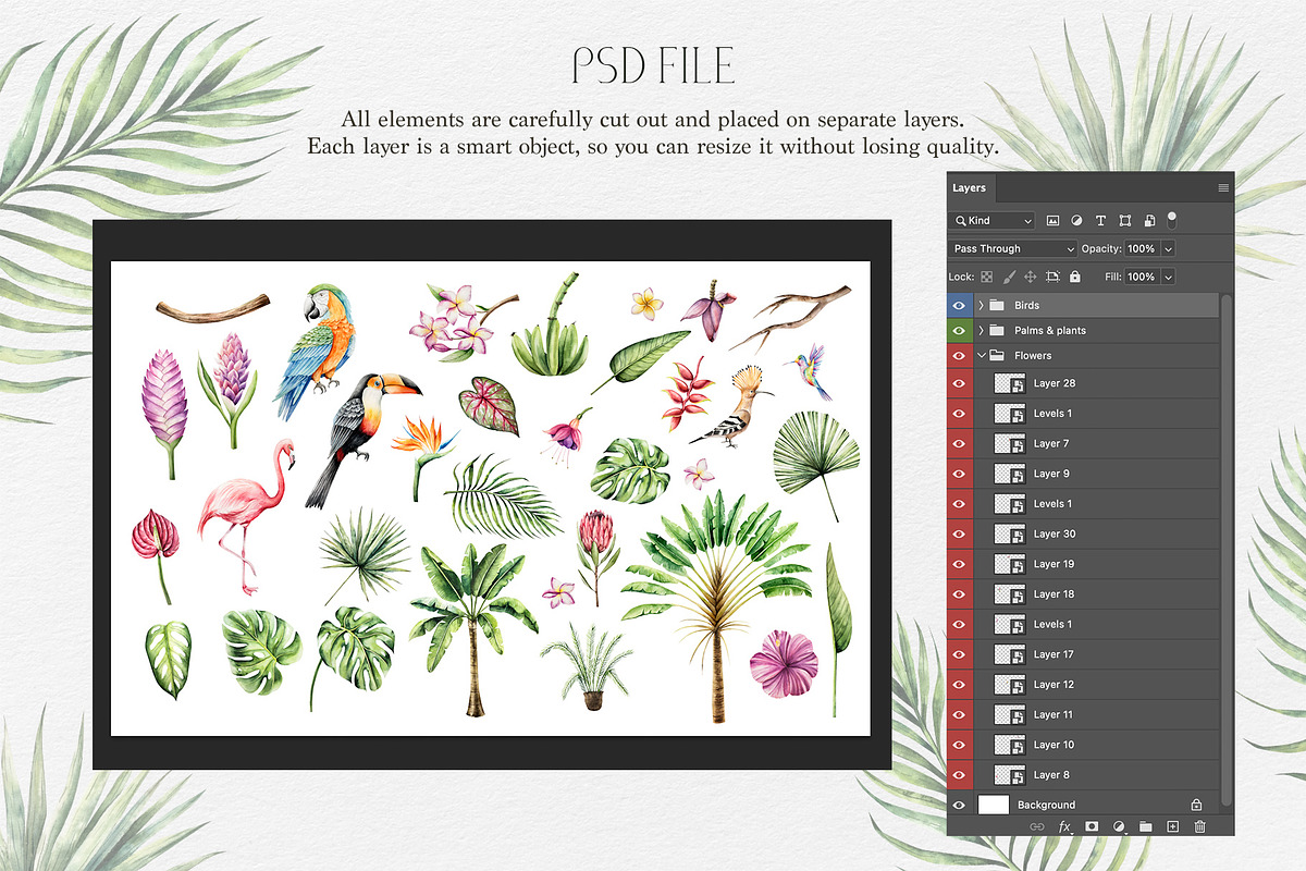 TROPICAL FOREST - Watercolor set, an Animal Illustration by Navenzeles (Photo 12 of 16)