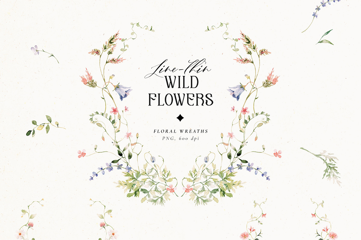 Line-thin watercolor wildflowers, a Decorative Illustration by Pamyatka Shop (Photo 14 of 16)