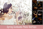 Spring Sunbeams Photo Overlays
