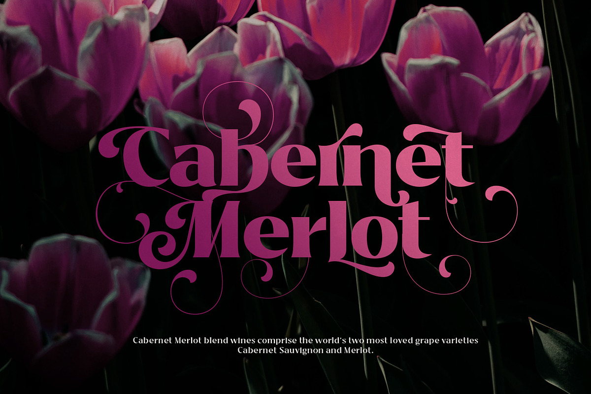 Bitra - Beauty Serif Family, a Serif Font by creativemedialab (Photo 16 of 17)