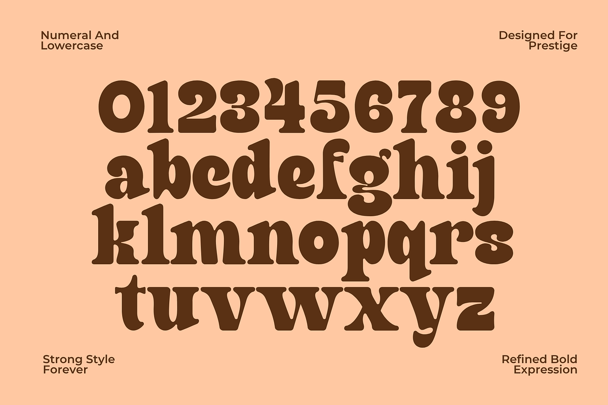 Finer – Classic Bold Serif Typeface, a Serif Font by MaikoHatta (Photo 6 of 7)
