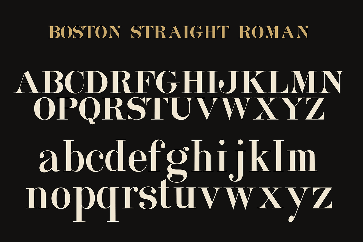 Boston Straight Roman – Display Font, a Serif Font by Lilithcollageart (Photo 14 of 20)