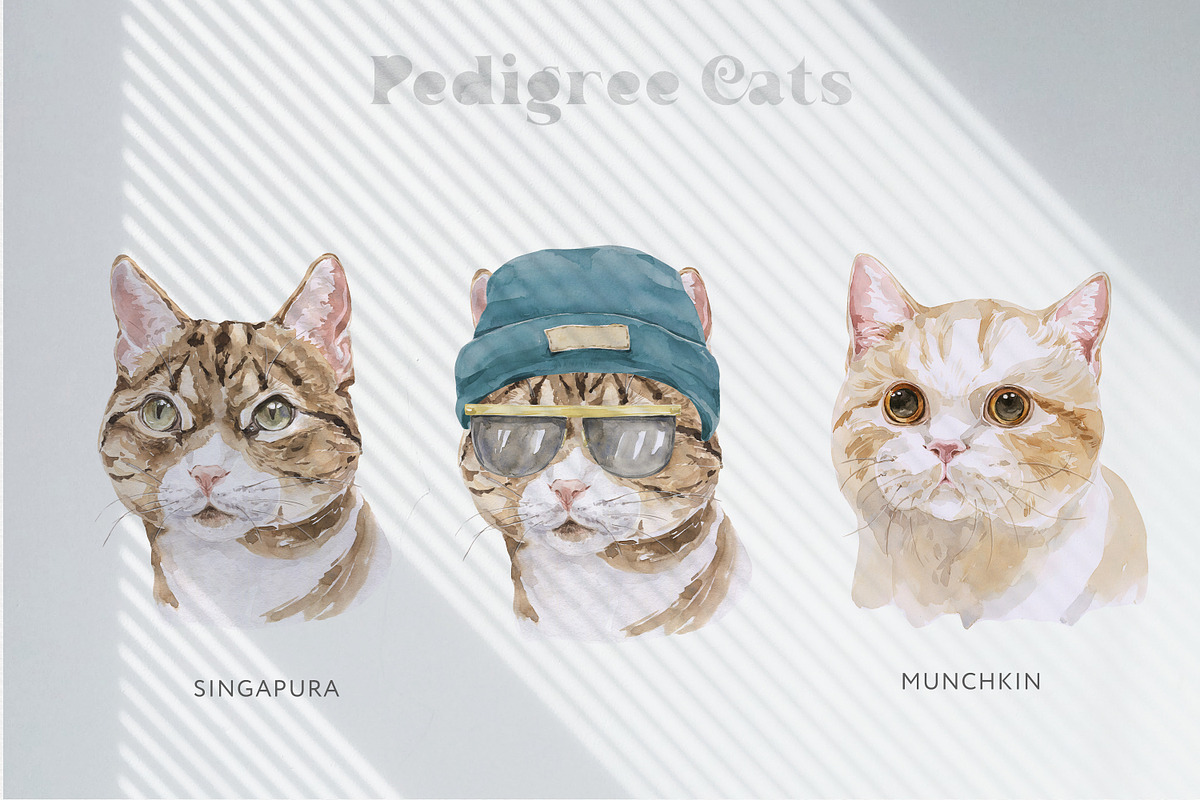 Feline Nature. Cat Portrait Creator, an Illustration by Cat In Colour (Photo 6 of 14)