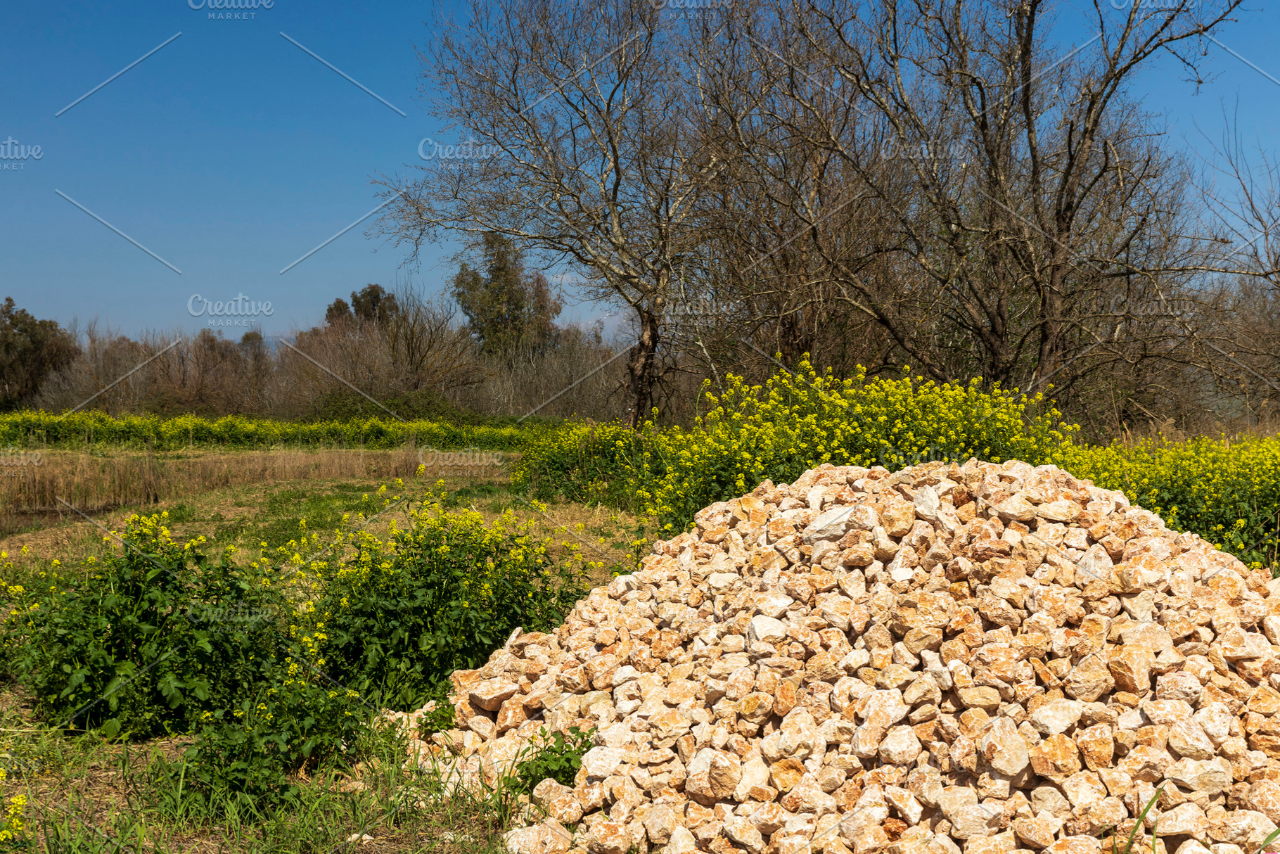A pile of small stones, a Nature Photo by Imaginarium