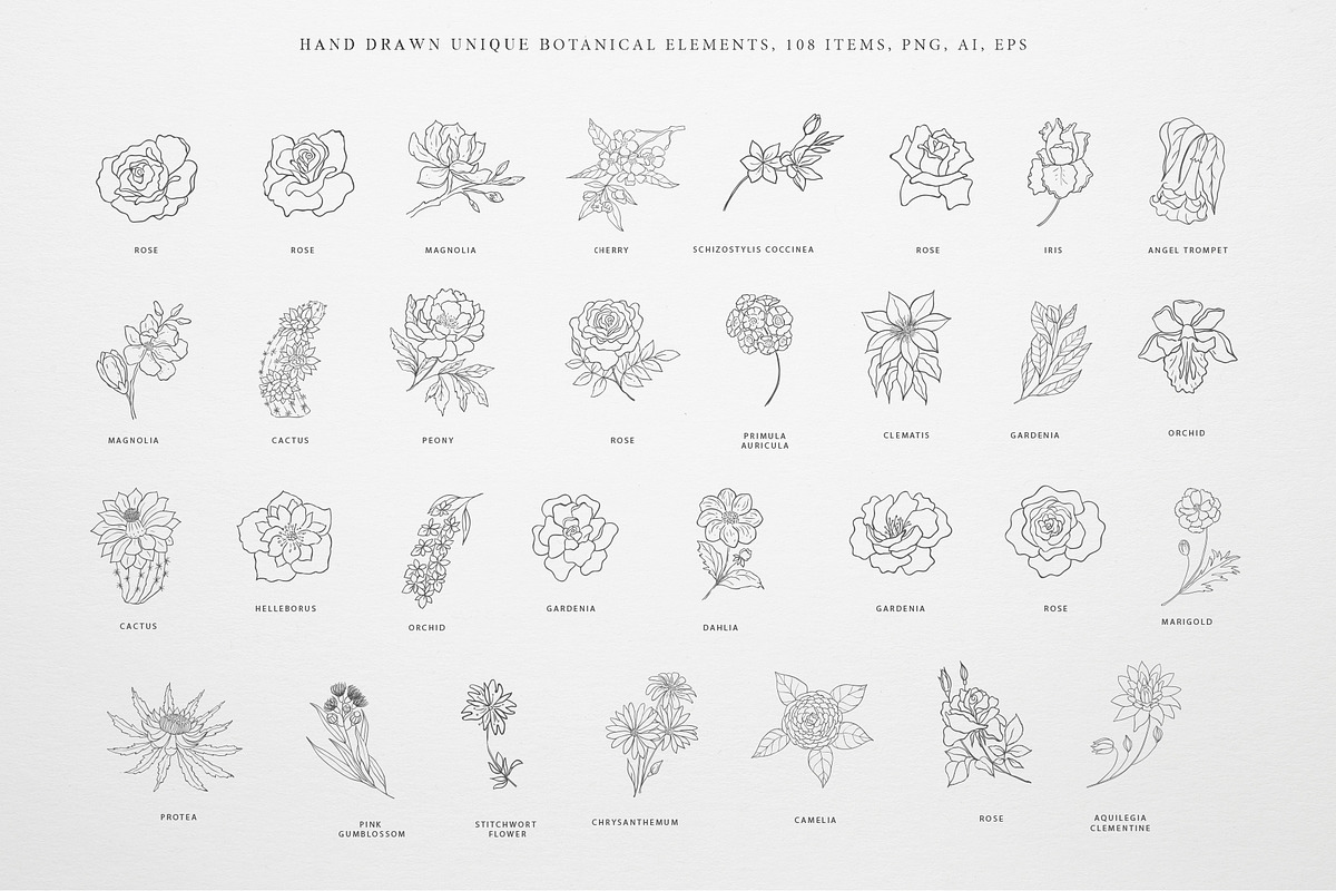 Botany & Moon. Hand Drawn Line Art., a Decorative Illustration by Designwork (Photo 5 of 20)