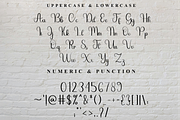 Ornament, a Handwritten Font by FreshTypeINK (Thumbnail 8 of 8)