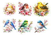 Watercolor Spring Floral Bird PNG, an Illustration by SinaCreation (Thumbnail 3 of 7)