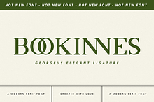 Bookinnes - Business Font