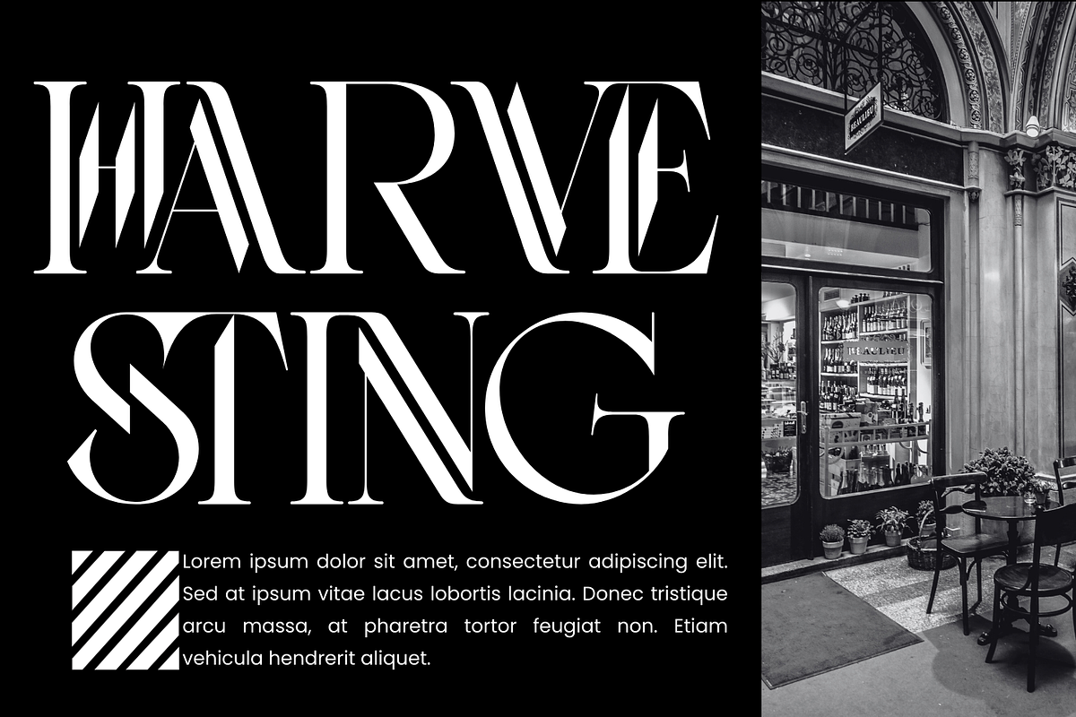 Thinkers Architect - Elegant Font, a Serif Font by 177Studio (Photo 2 of 8)