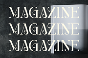 Berang Berang Serif Display Font, a Serif Font by Maryamtype Studio (Thumbnail 4 of 15)