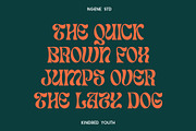 Kindred Youth, a Font by ngene (Thumbnail 7 of 10)