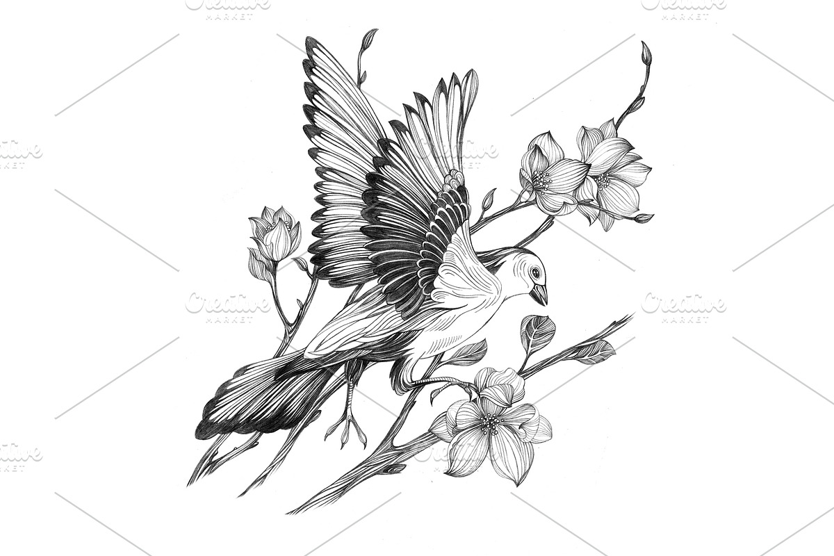 Bird on branch., an Animal Illustration by VitalinaGofman (Photo 2 of 2)