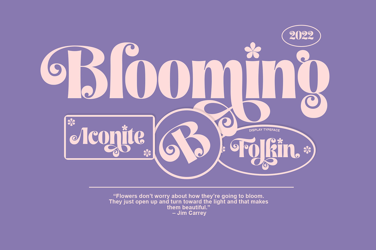 Folkin Display, a Sans Serif Font by INKSUN™ (Photo 4 of 9)