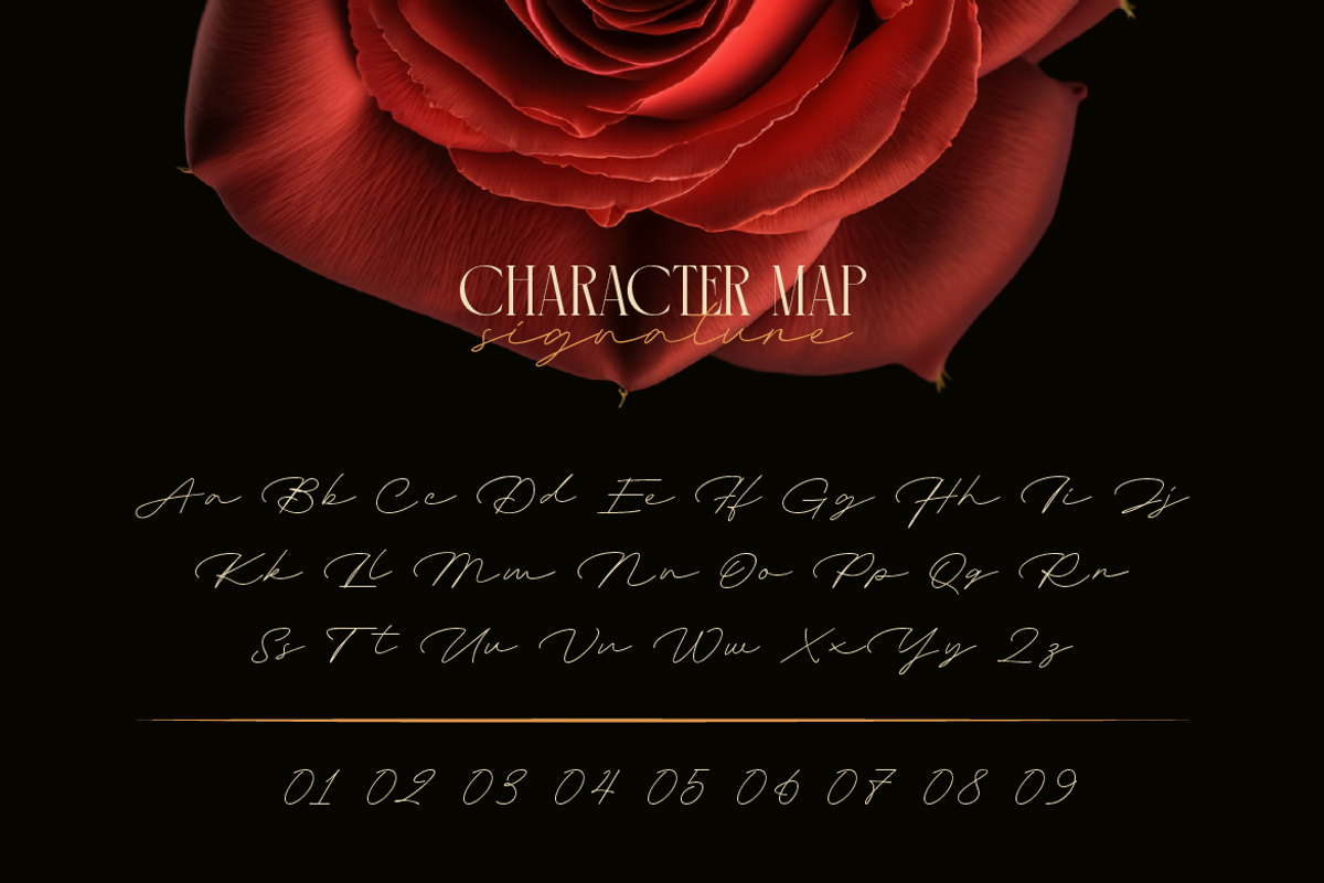 Aqualim Signature - Duo Font, a Serif Font by Burntilldead (Photo 5 of 12)