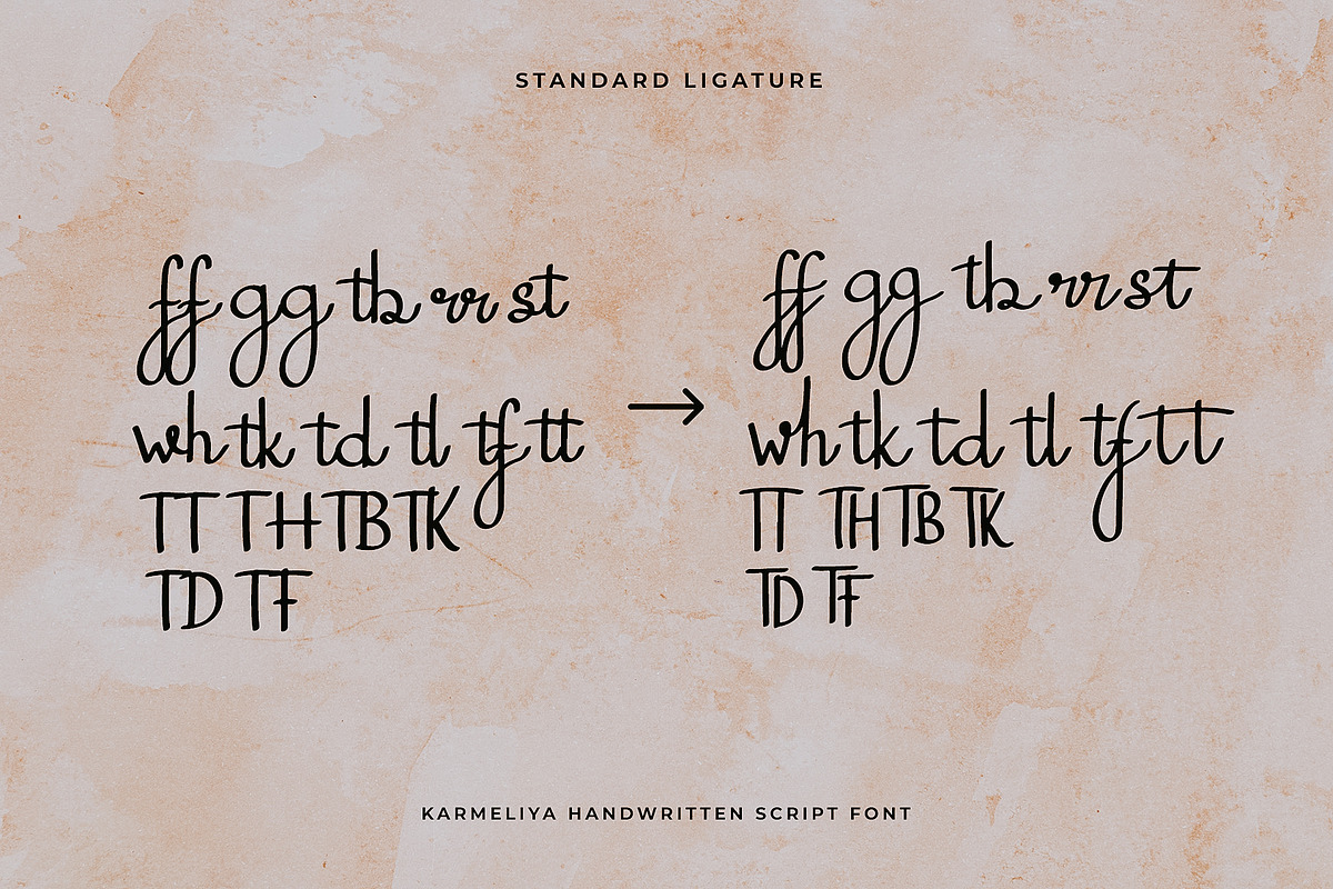Karmeliya a Handwritten Script Font, a Script Font by Dawnside Graphic (Photo 10 of 13)