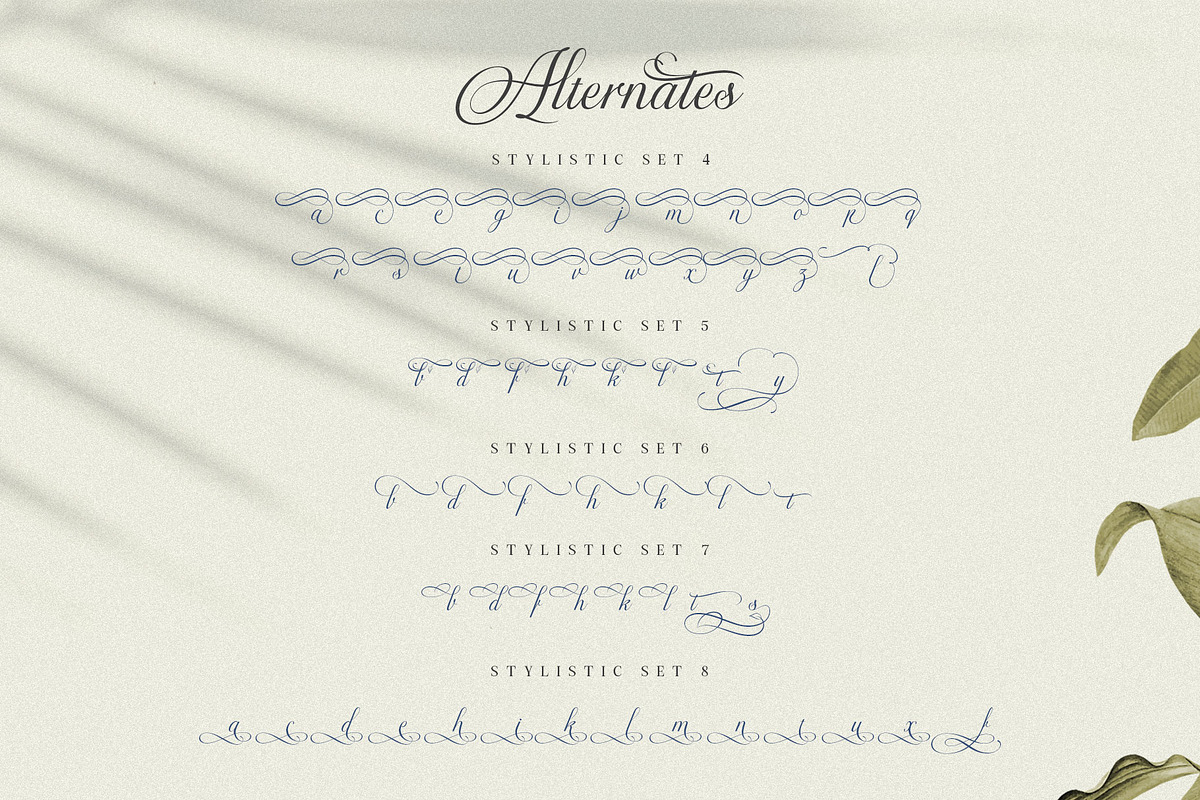 The Virnature Nature Script, a Script Font by alit design (Photo 9 of 18)