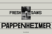 Pappenheimer – A Fresh Sans, a Sans Serif Font by Local Desk Designstudio (Thumbnail 7 of 20)