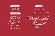 Skinship | Love Script Font, a Script Font by Denustudios (Thumbnail 12 of 13)