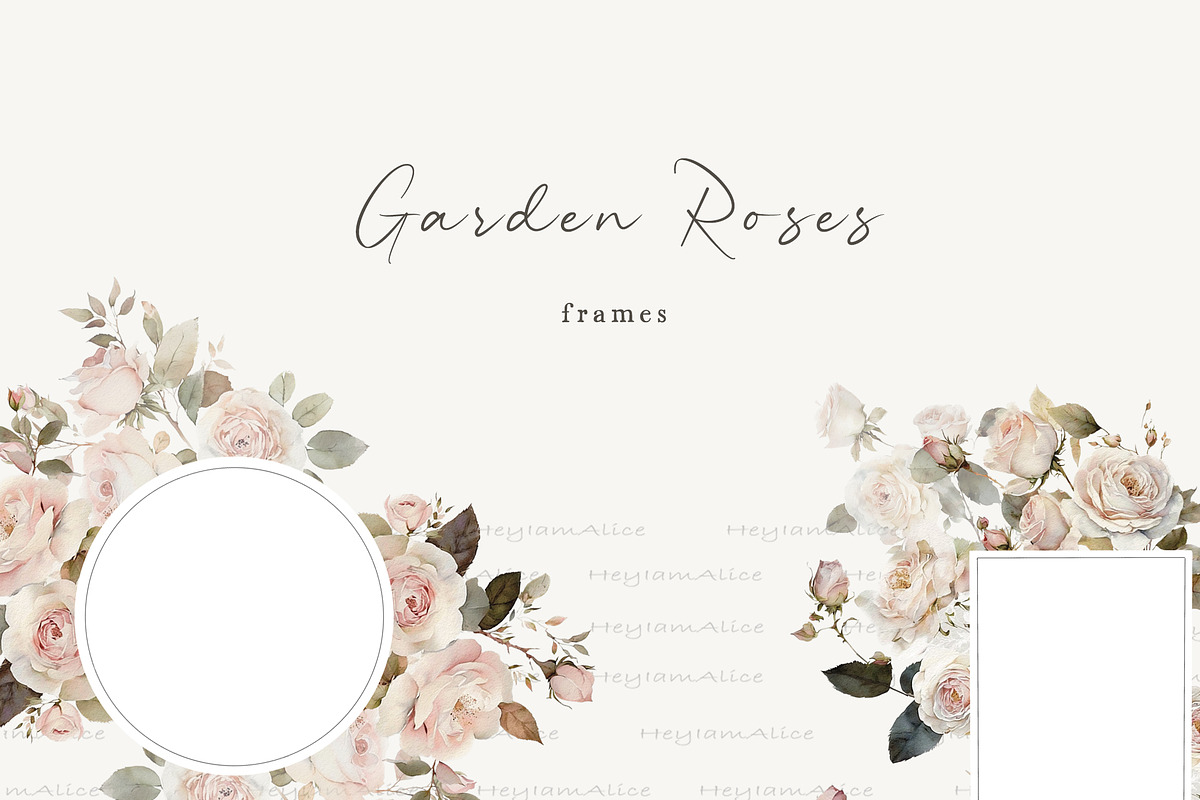 Garden Roses, a Decorative Illustration by heyiamalice (Photo 4 of 10)