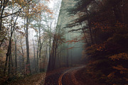 Dark Photoshop Actions, an Action Add-On by Bato (Thumbnail 10 of 11)