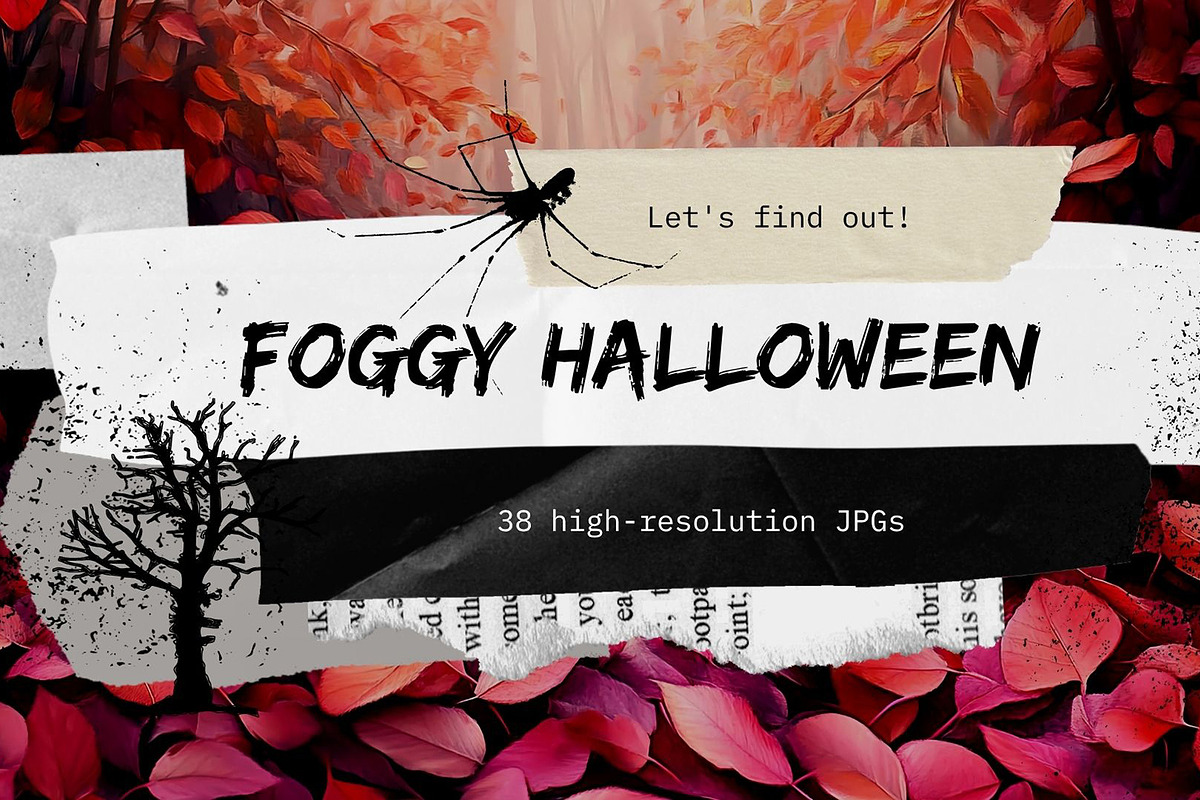 Foggy Halloween, a Holiday Photo by pictures for you (Photo 2 of 21)