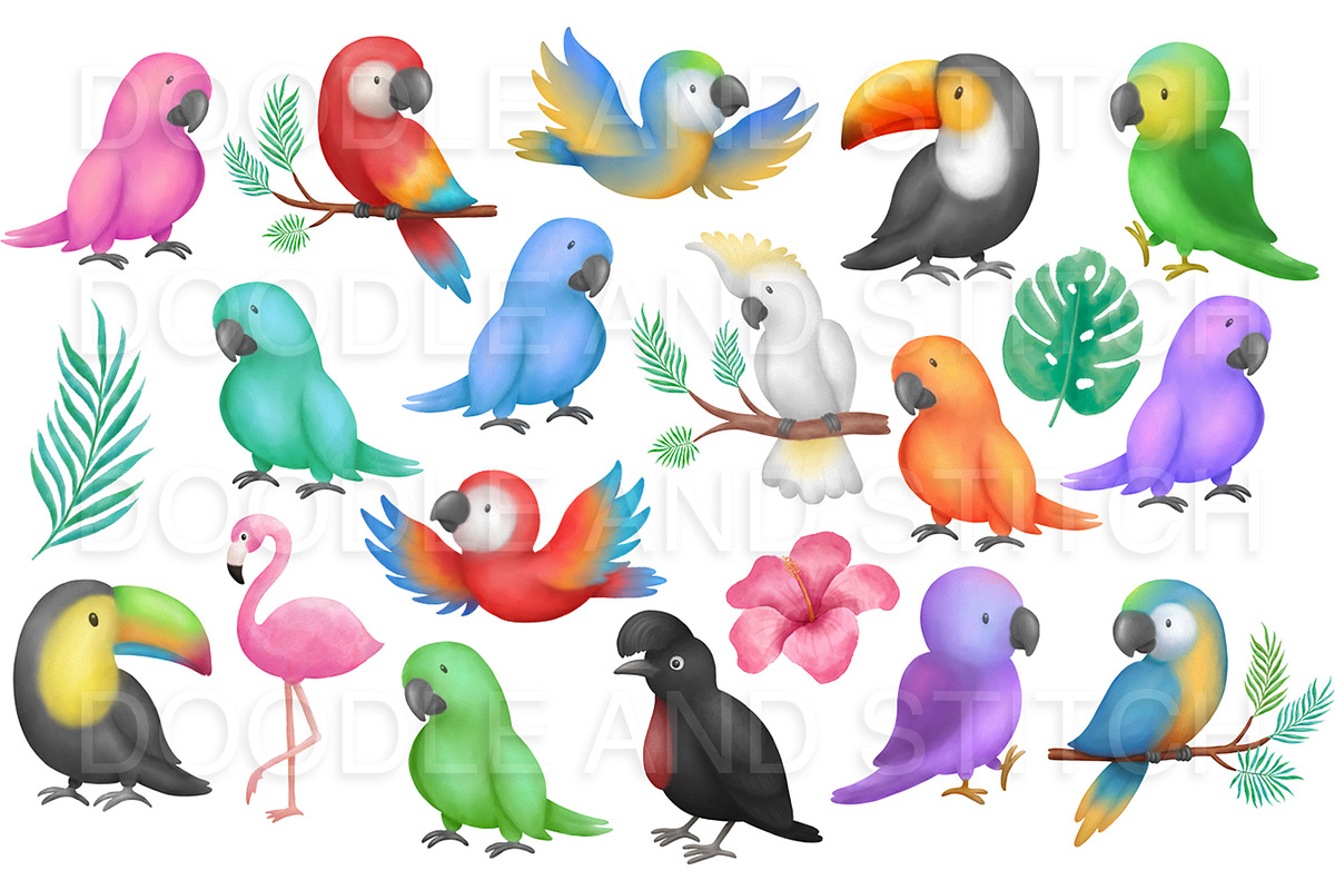 Tropical Birds Watercolor Clipart, an Illustration by Doodle and Stitch (Photo 2 of 2)