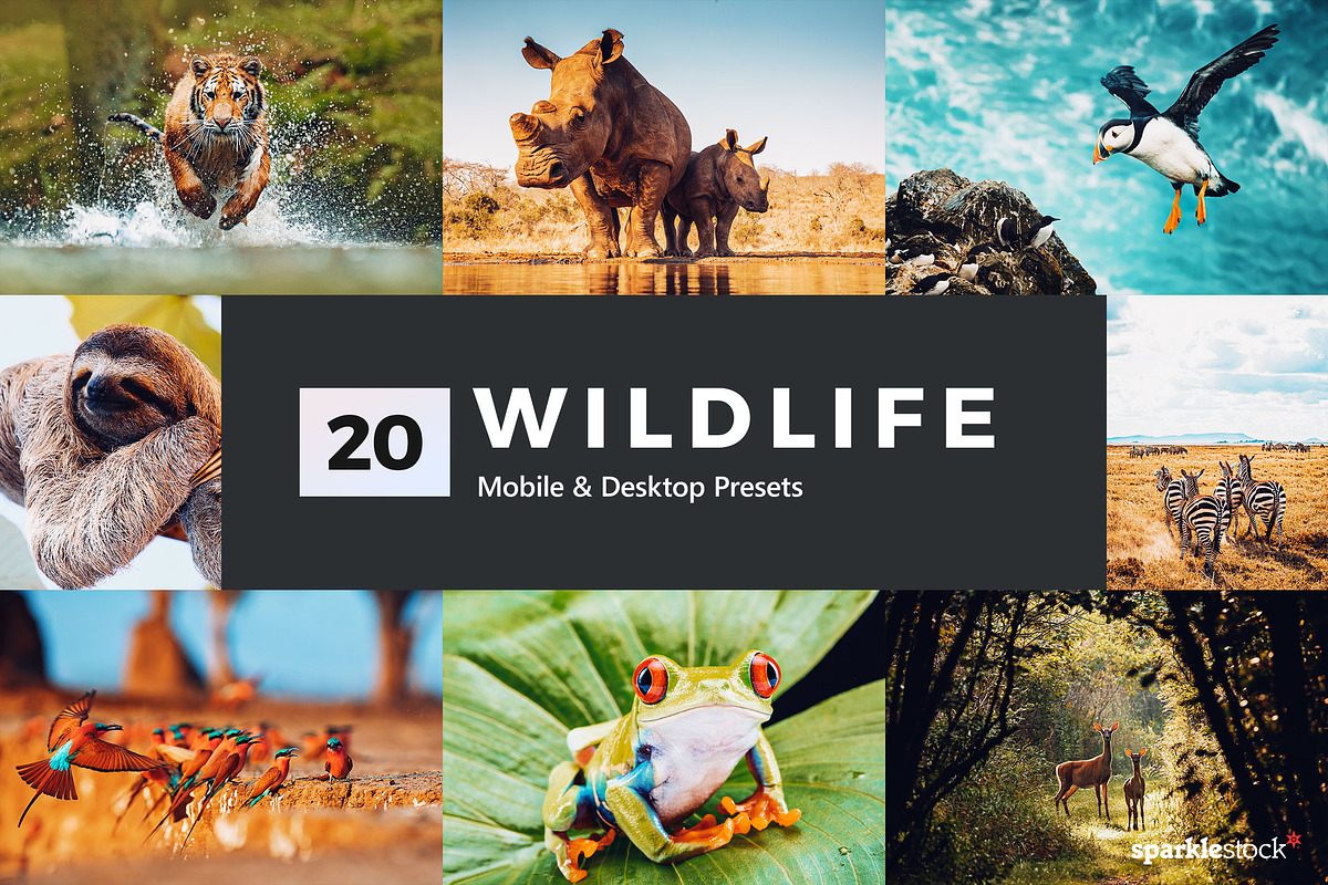 20 Wildlife Lightroom Presets & LUTs, a Preset Add-On by SparkleStock (Photo 1 of 9)