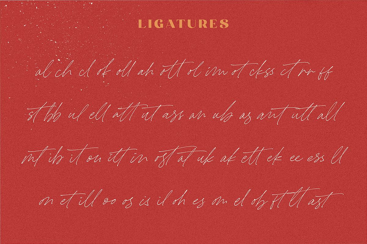 Carneys Gallery Font Duo, a Sans Serif Font by Letteralle Studios (Photo 12 of 16)