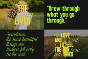 Display Font Bundle, a Sans Serif Font by Typoraith Co (Thumbnail 10 of 12)