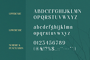 Aielenea - Elegant Luxury Serif Font, a Serif Font by Qweera Studio (Thumbnail 12 of 12)