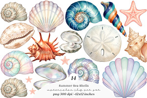 Sea Shells Clipart PNG, an Illustration by SinaCreation