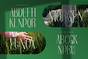 Redivola Typeface, a Sans Serif Font by alit design (Thumbnail 14 of 15)