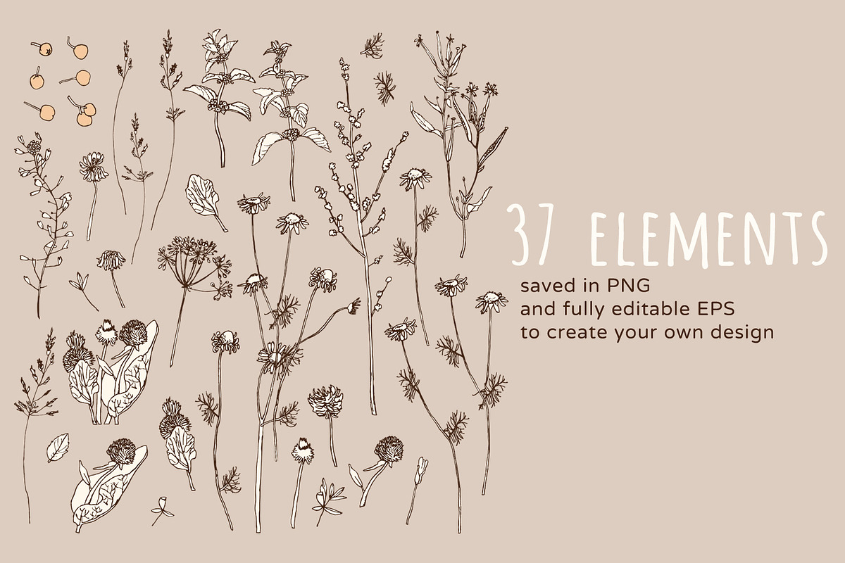 Wild Herbs, an Illustration by julianaapina (Photo 3 of 7)