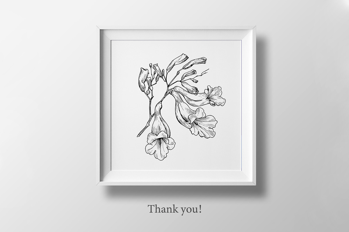 Flowers of Jacaranda. Botanical Set, a Decorative Illustration by ON_lineart_store (Photo 10 of 10)