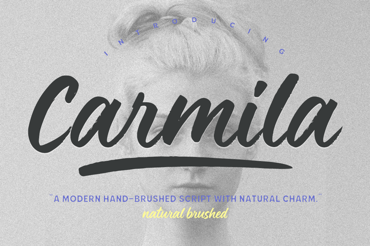 Carmila brush font, a Handwritten Font by cocodesign (Photo 1 of 6)