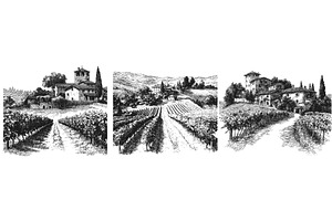 Vineyards engraving set. Vineyard, an Animal Illustration by Stock-Smart-Start