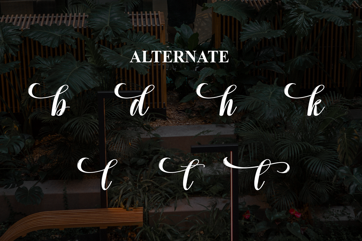 Rooftop Garden | Script Font, a Handwritten Font by Scratchones (Photo 8 of 9)
