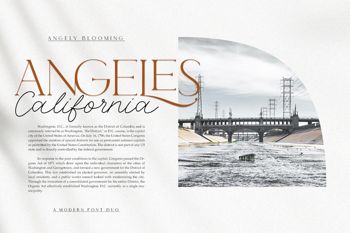 Angely Blooming Duo, a Script Font by Letter Fresh (Photo 2 of 8)