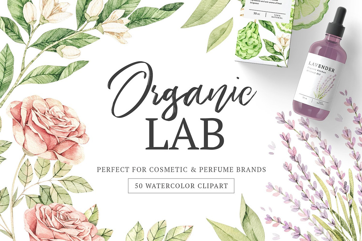 Modern Bundle | Logo | Watercolor, a Food Illustration by Kate Macate (Photo 13 of 19)