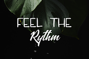 Absolute Duo Extra, a Script Font by BLISS DESIGN (Thumbnail 4 of 6)