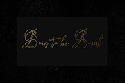 Charlotte Script, a Script Font by Chocotype Std (Thumbnail 2 of 10)