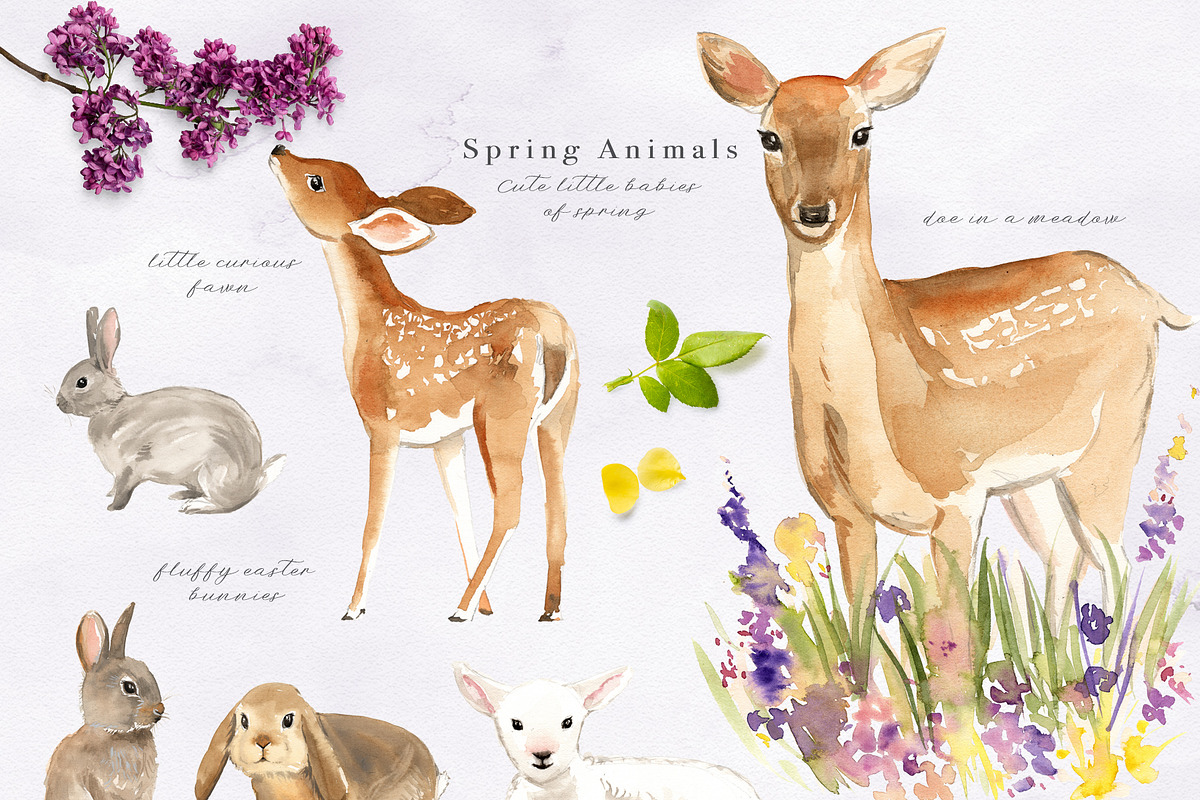 Spring & Easter Clipart, an Illustration by Twigs and Twine (Photo 2 of 17)