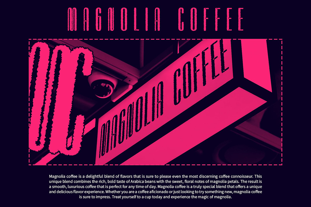 Palaside Rough, a Sans Serif Font by Craft Supply Co. (Photo 4 of 8)
