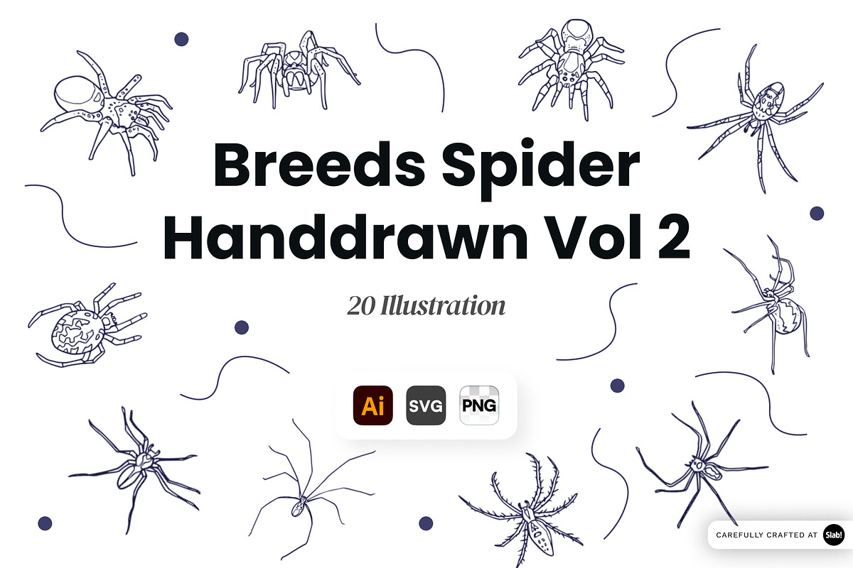 Breeds Spider Handdrawn Vol 2, an Animal Illustration by SLAB! Design (Photo 1 of 3)